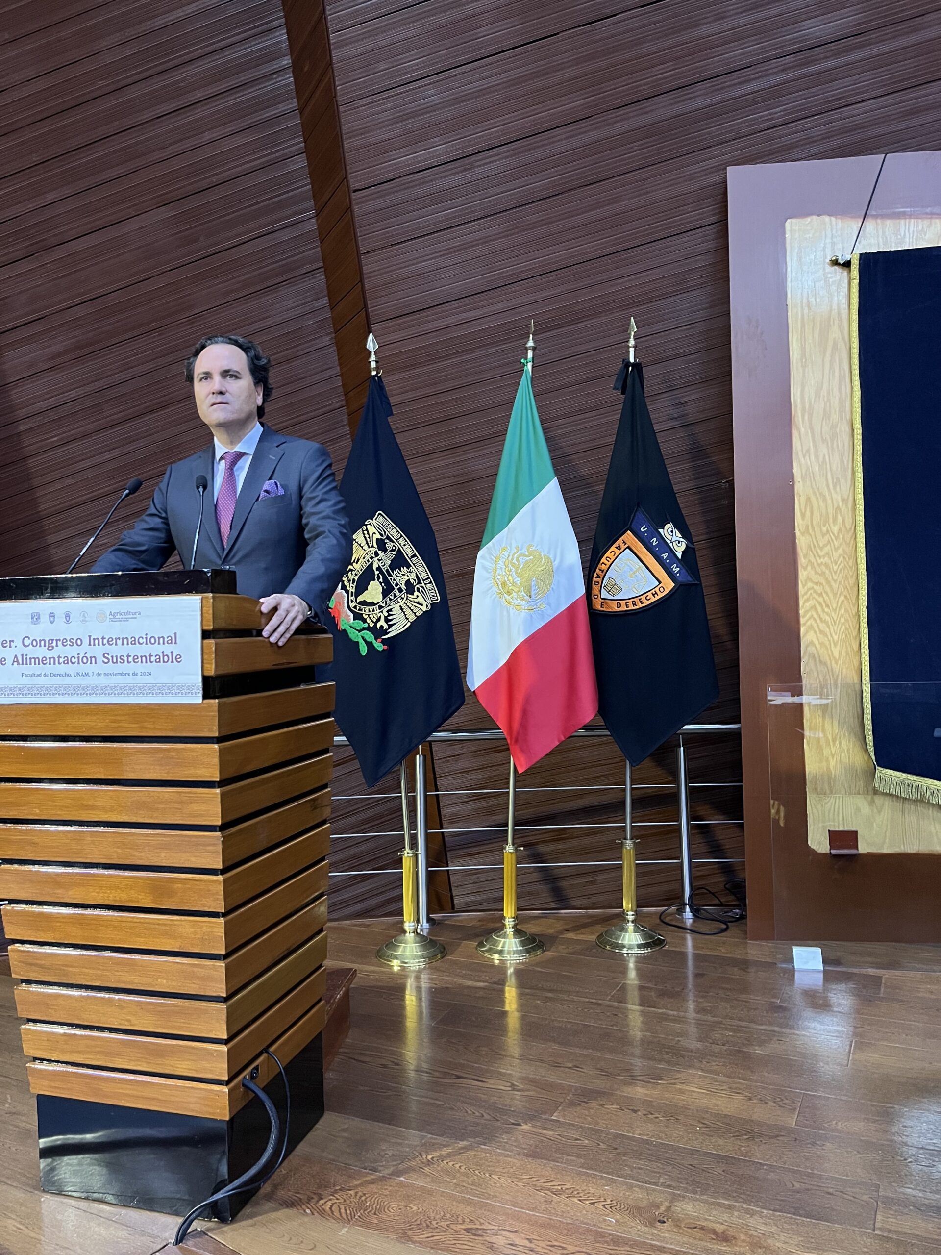 Manuel Castañón del Valle at an international conference